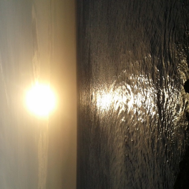 View joe669