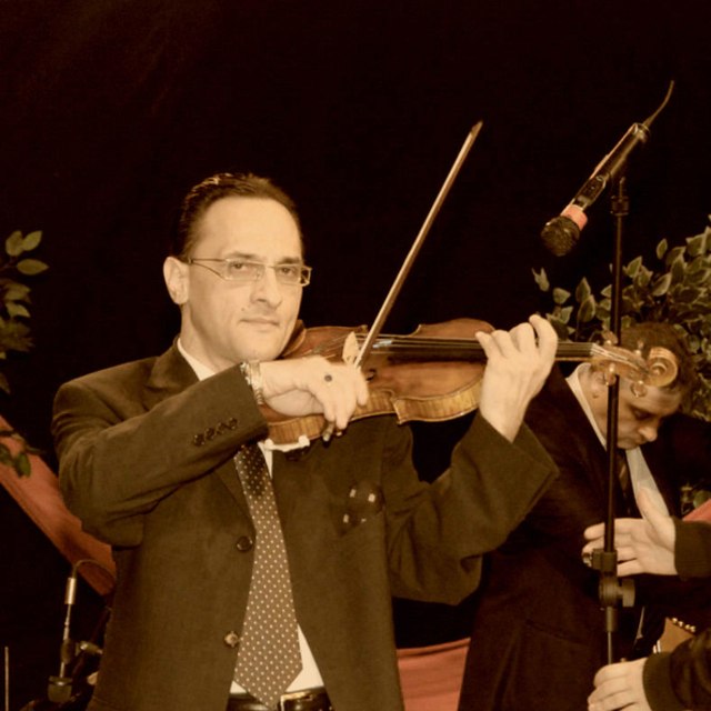 View Bogdan -violon gitane