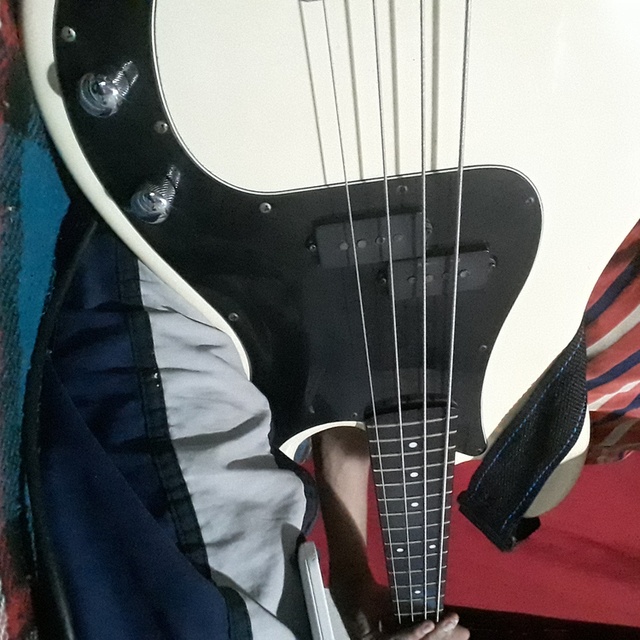 View Bass