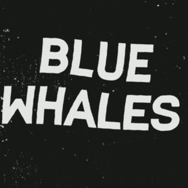 View bluewha96