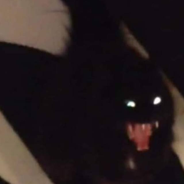 View autumnalgrieves