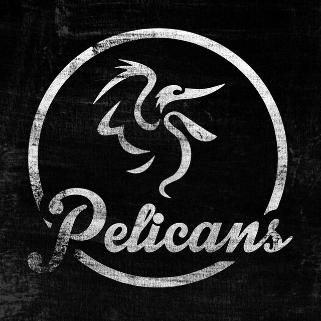 View Alvaro_Pelicans