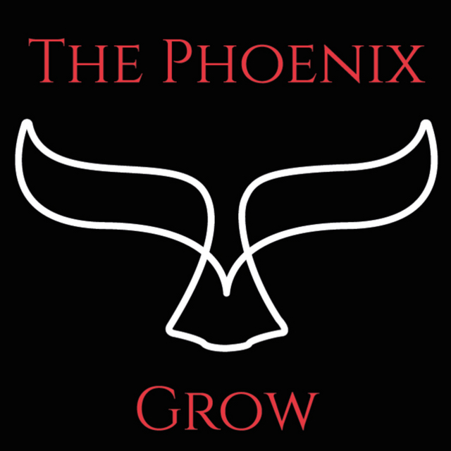 View The phoenix grow