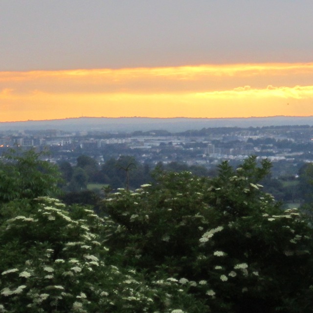View dina16128