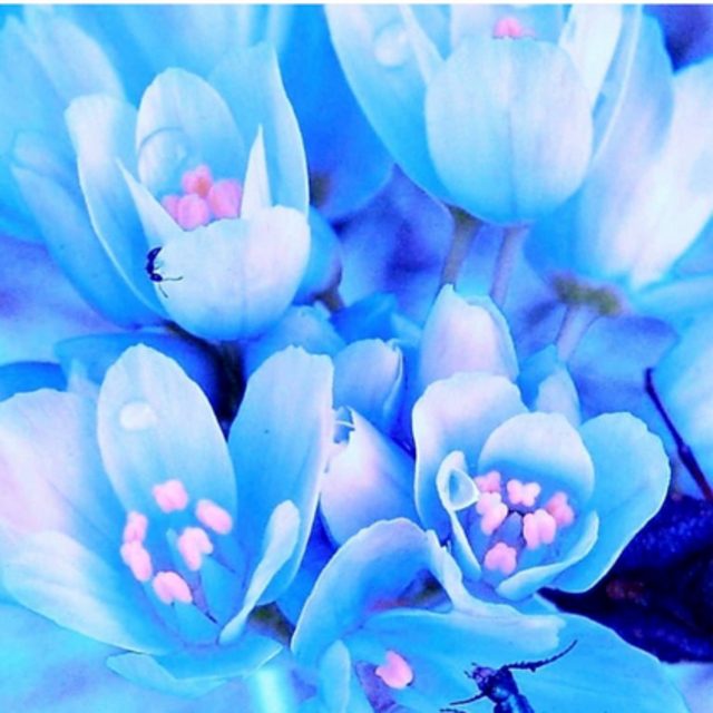 View aspontonvenegas