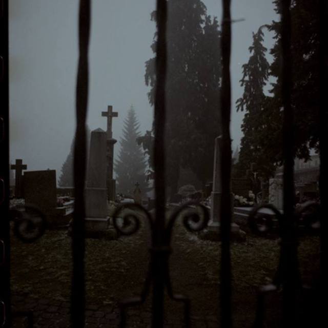 View simo1994