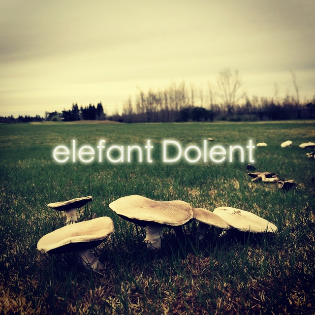 View ELEFANTDOLENT
