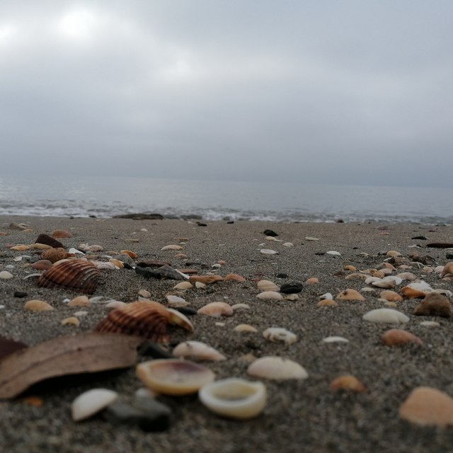 View gema180154