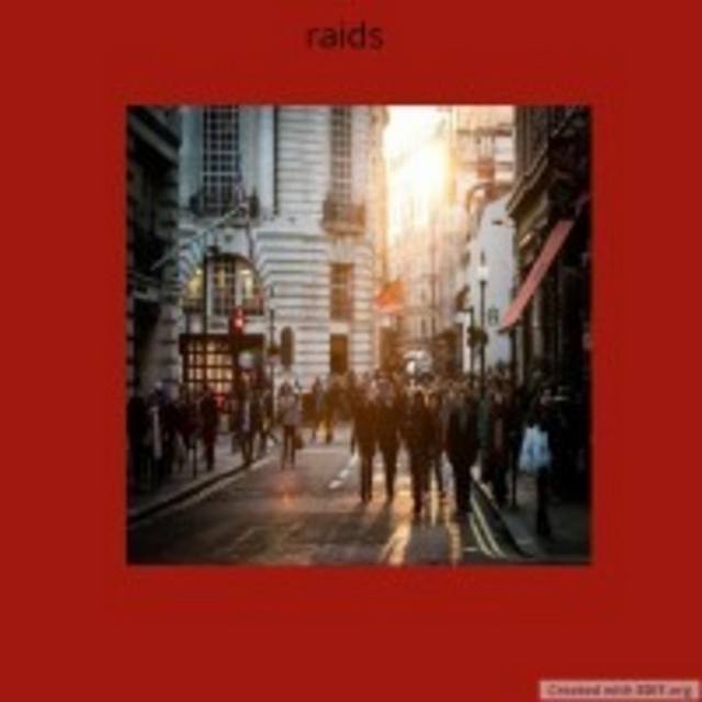 View Raids
