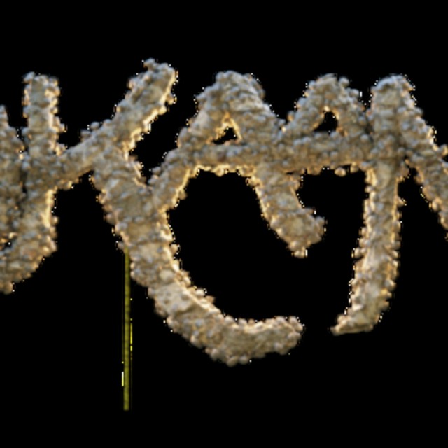 Yokaanam