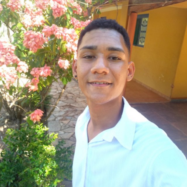 View Vinicius