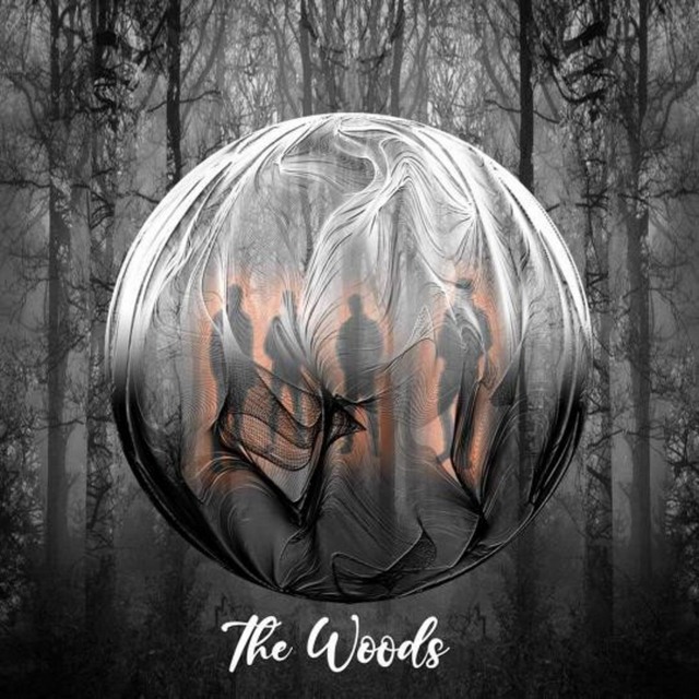 View The Woods