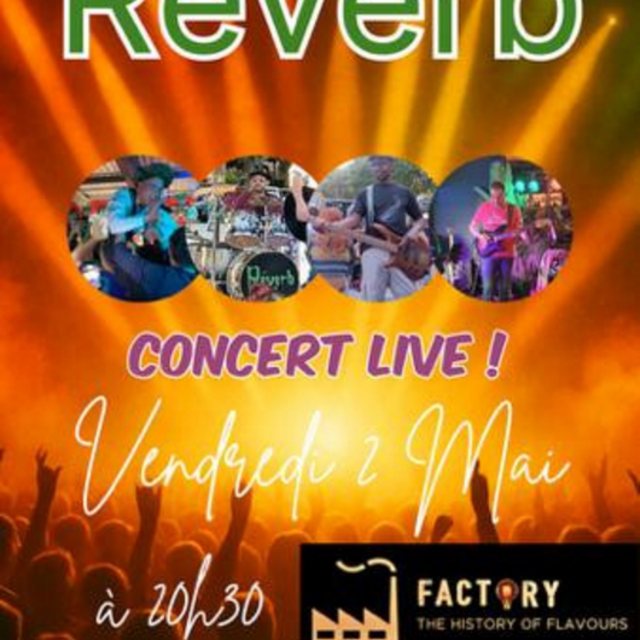 View Reverb