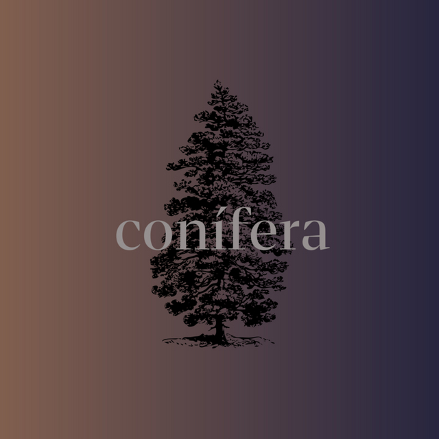 View Conifera