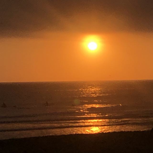 View josephine_21