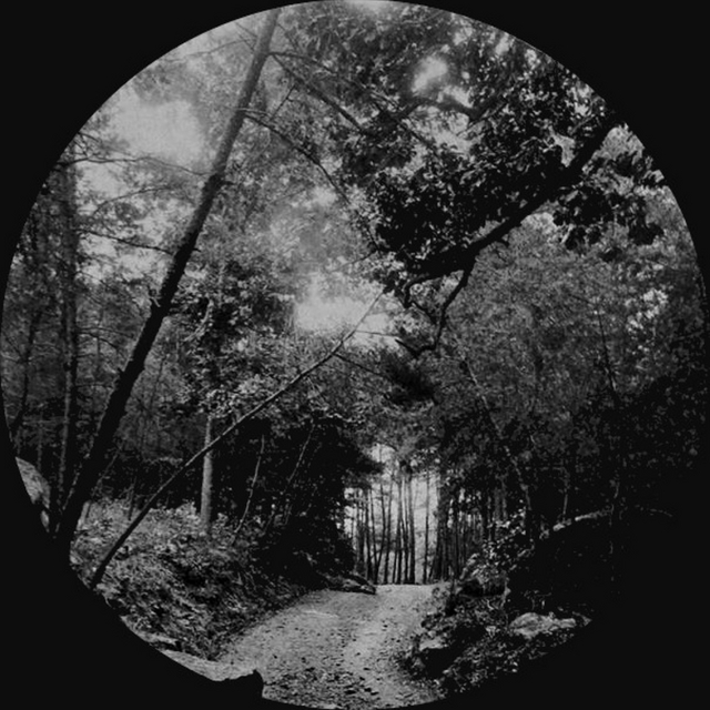 View Septentrion