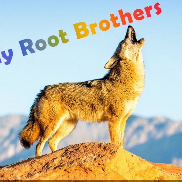 Funny Root Brothers