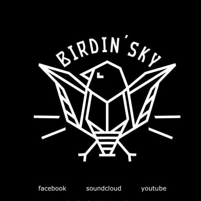 View Birdin' Sky