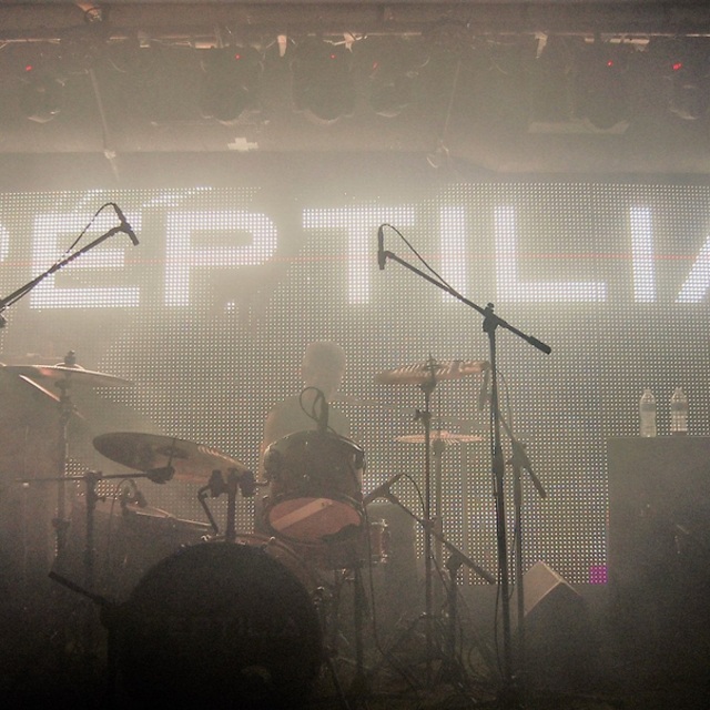 View Reptilia