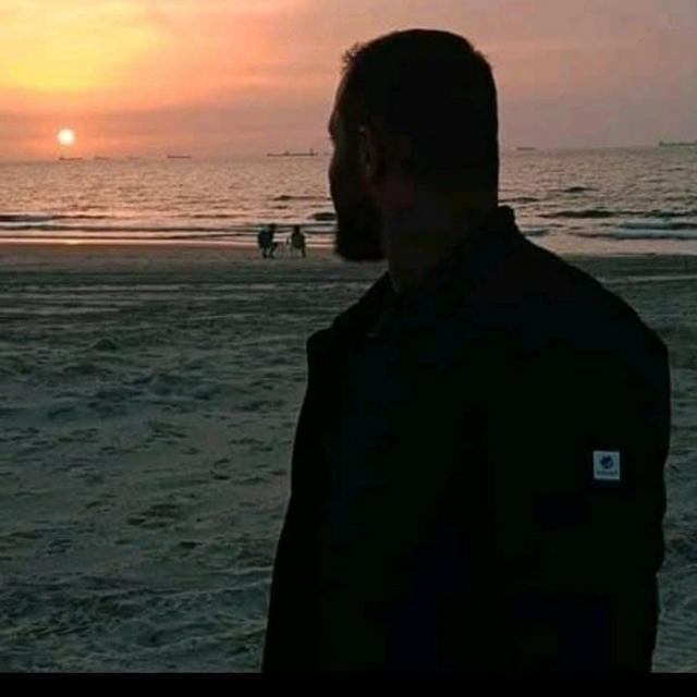 alaa368102