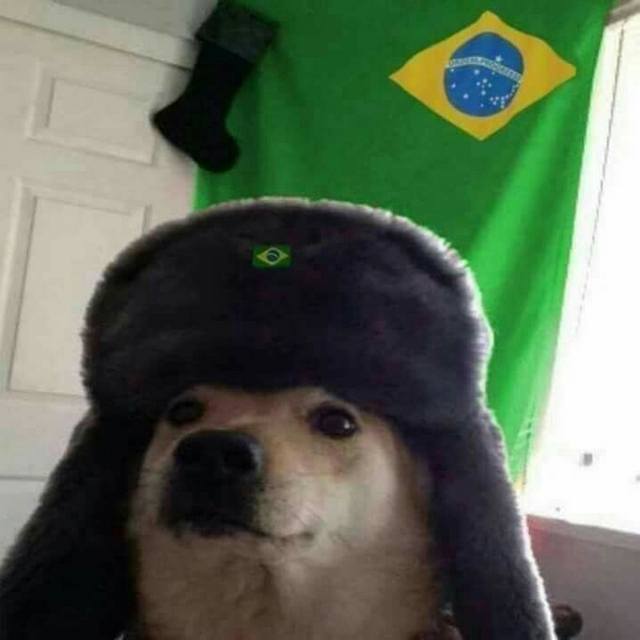 View matheus376459