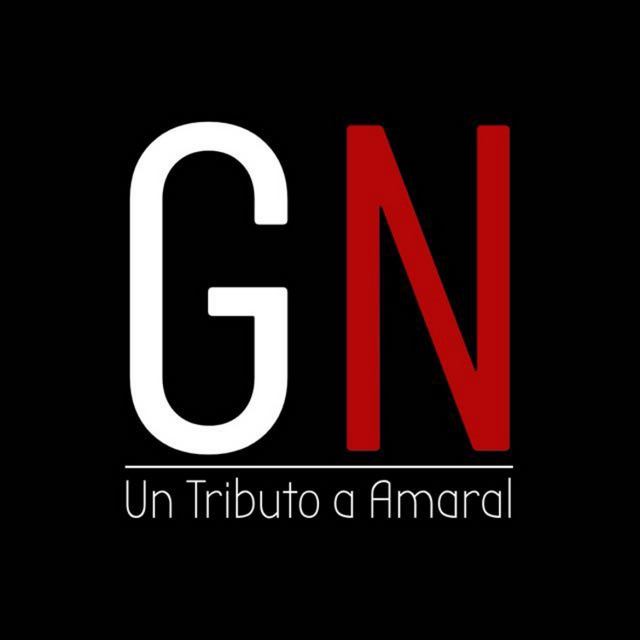 View Gato negro