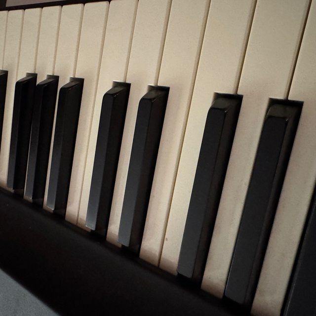 View The Hemmingbirds