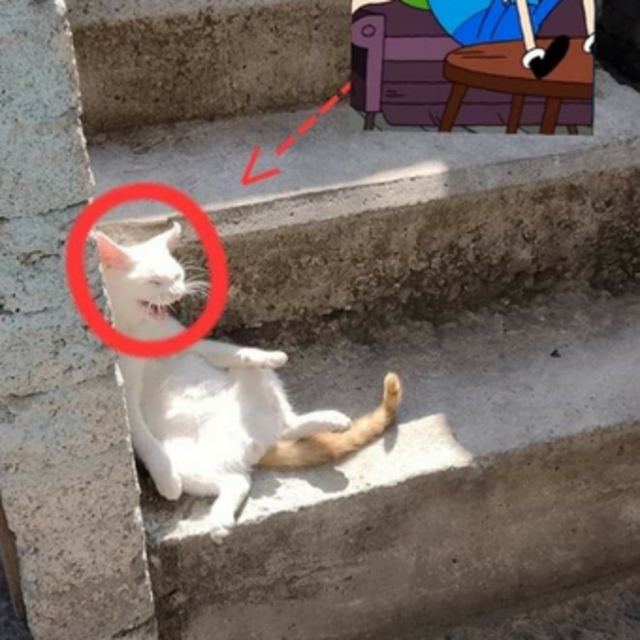 View (Decidir um nome)