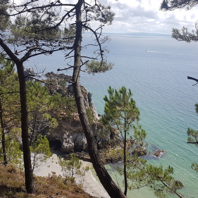 View gael378835