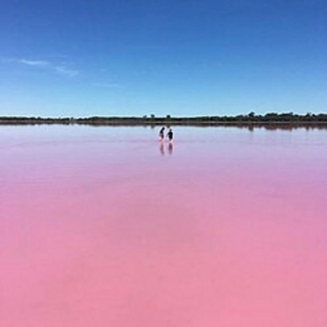 View Banda MPB busca músicos