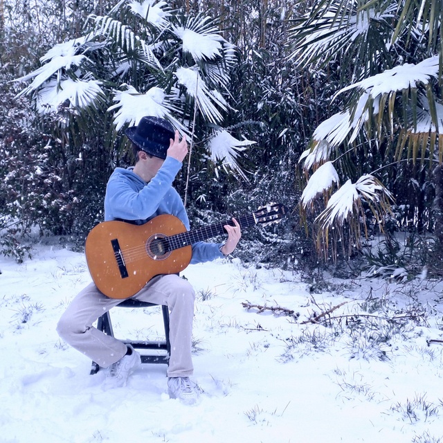 View bardguitar