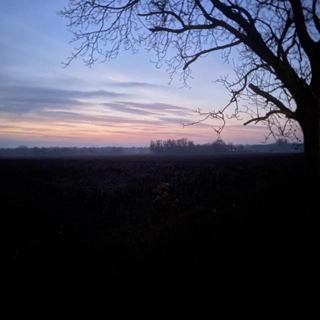 View jaeger999_