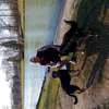 View achim389972