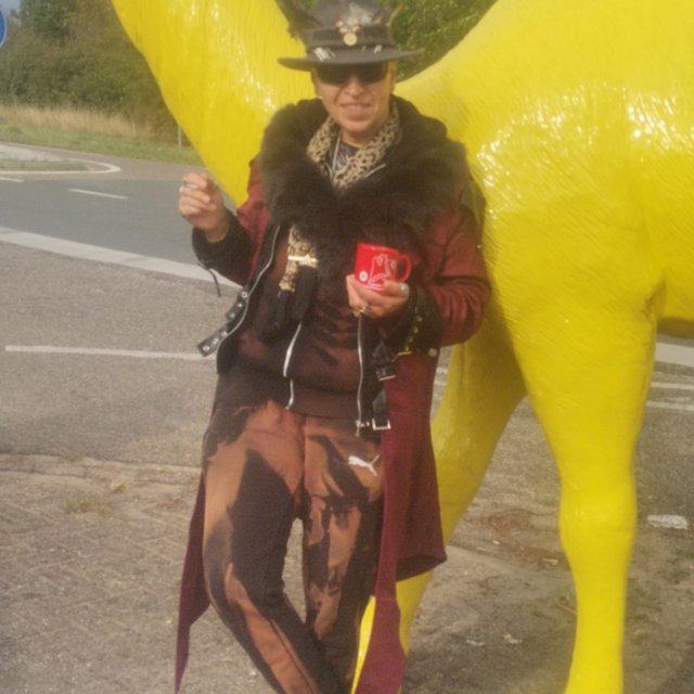 View ArthurTiger Rhein