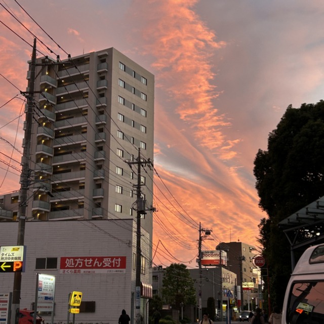 View アレックス390944