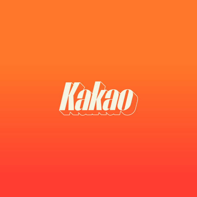 View Kakao @kakao_grupo