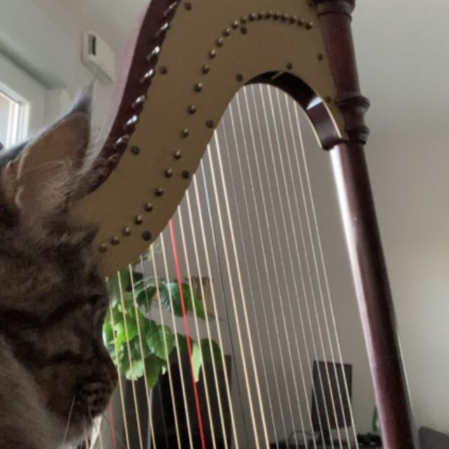 View Chach Harp