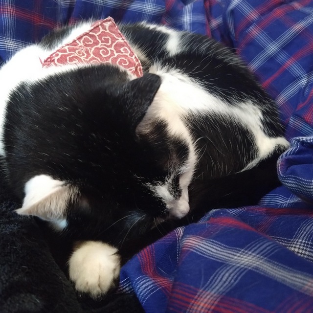 View ののか394354