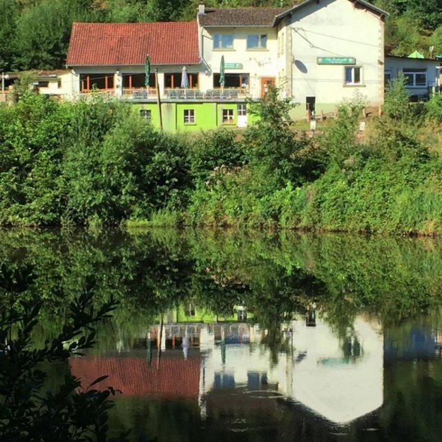 View Maier