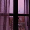 View luis399984