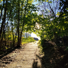 View charlie402179