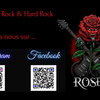 View roses37120