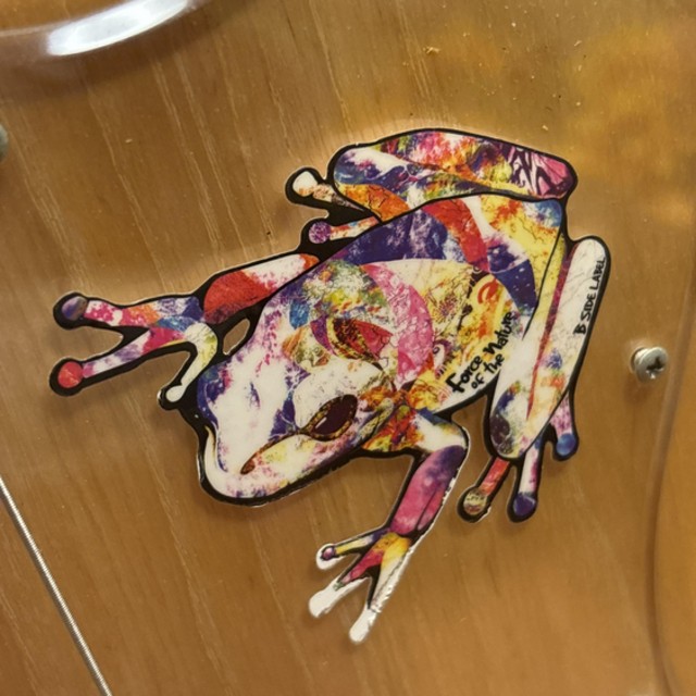 View ヤマトケロ民