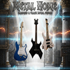 View Metalhomeguitar