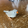 View ユーさん
