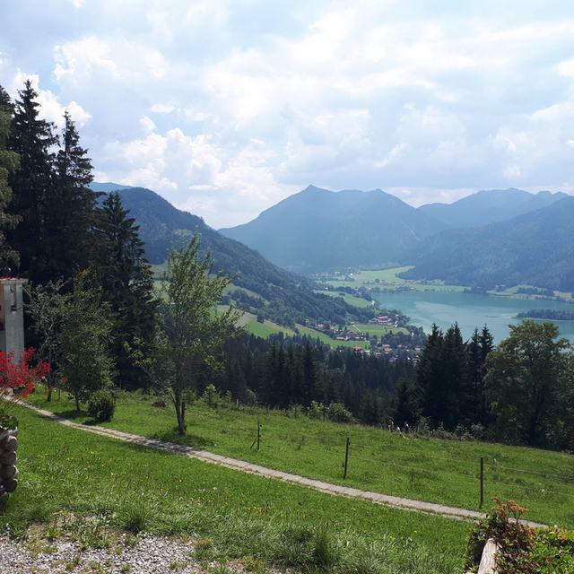 View Frederik