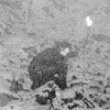 View Solstitium Fulminate