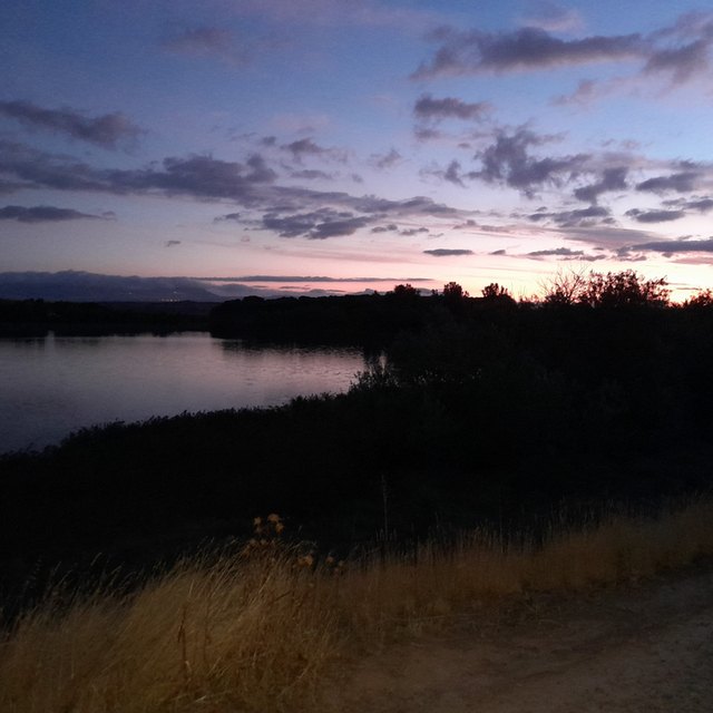 View Selvas