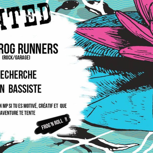 View The Frog Runners